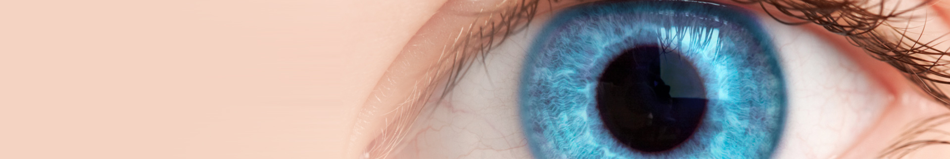 BANNER-NUEVA-DIMENSION