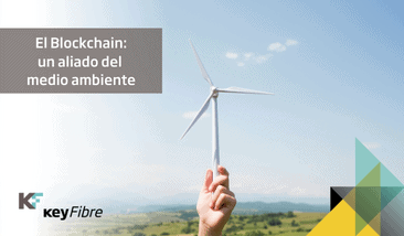 El Blockchain: un aliado del medio ambiente