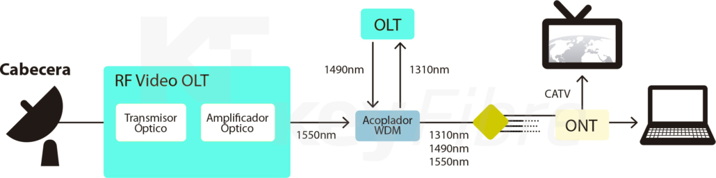Funciones de un Divisor Óptico (Splitter)
