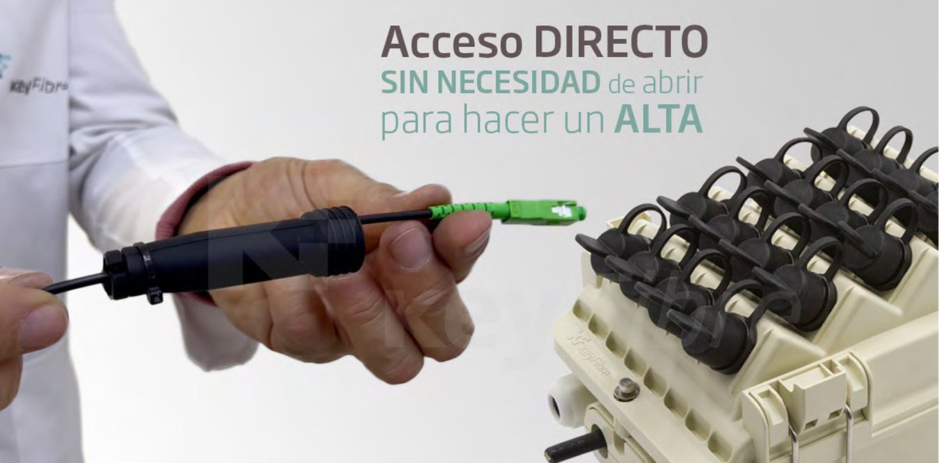 serie-tesla-acceso-directo Serie Tesla