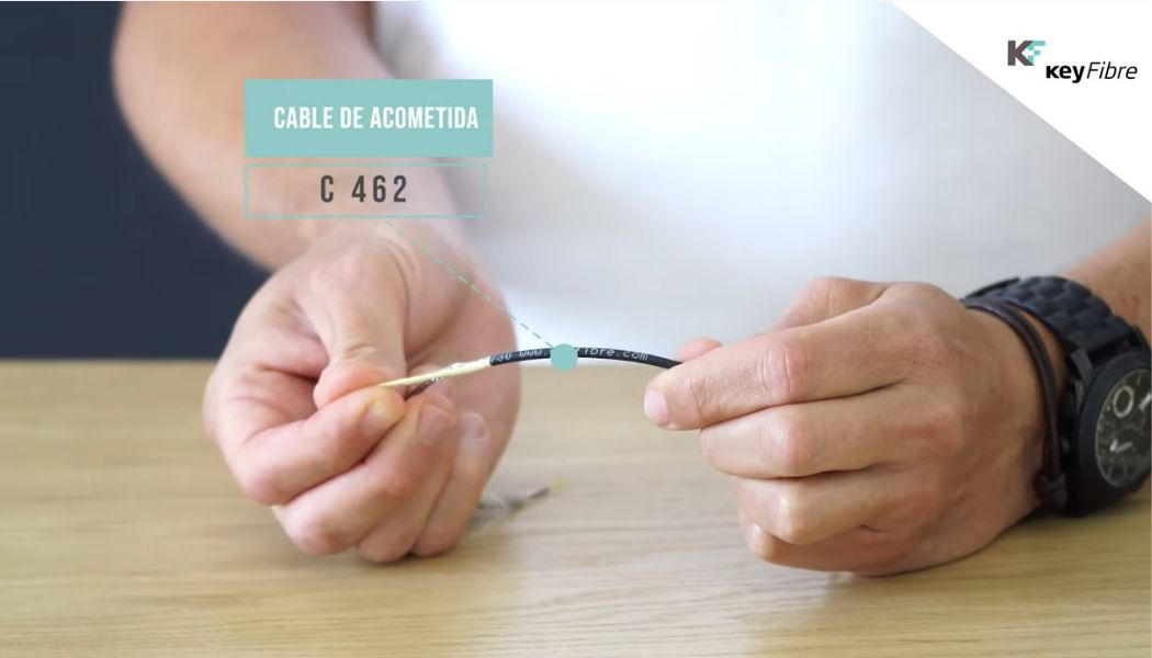 Blog KeyFibre (3) Roedores: El enemigo oculto de la fibra óptica