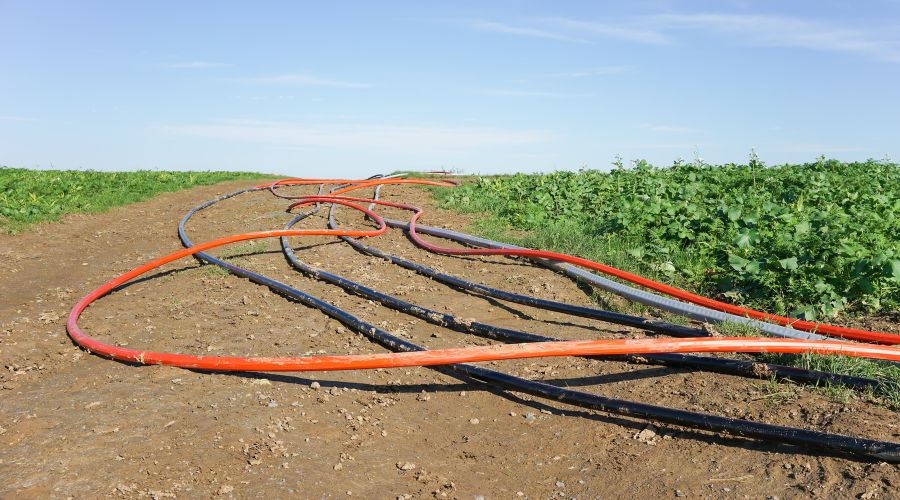 Blog KeyFibre (5) Agricultura de Precisión y el Papel de la Fibra Óptica