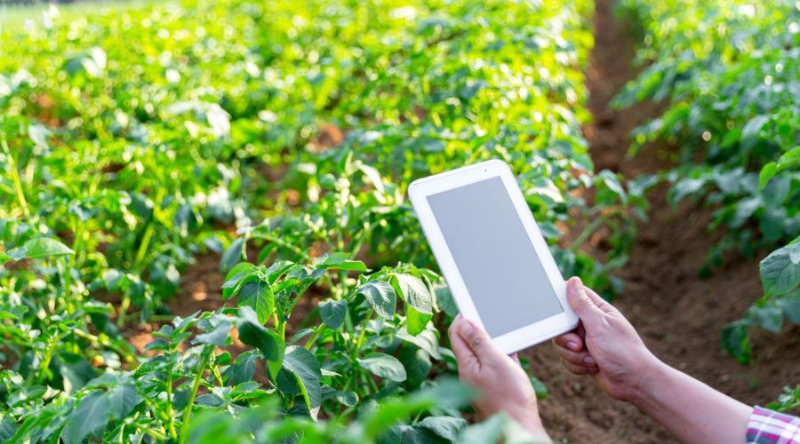 Blog KeyFibre (6) Agricultura de Precisión y el Papel de la Fibra Óptica